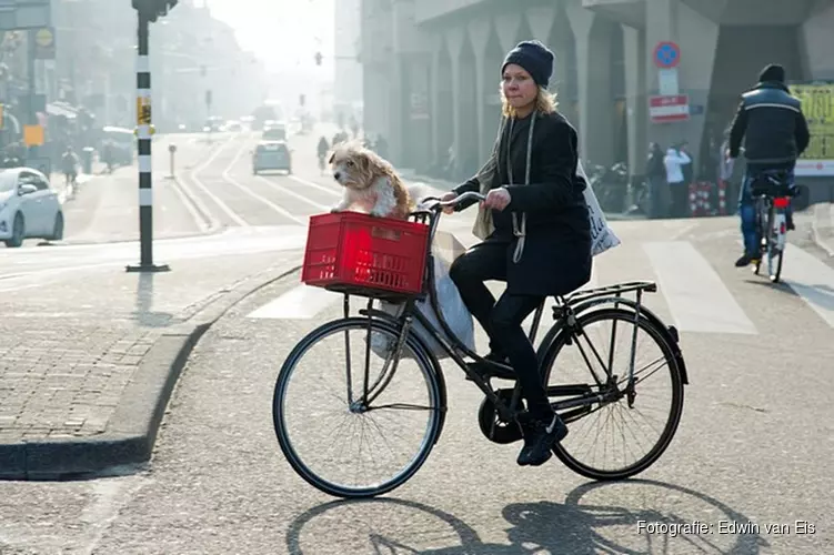 De verdwenen Vijzelstraat