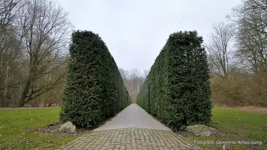 Werk op Dachaupad en de Heuvel