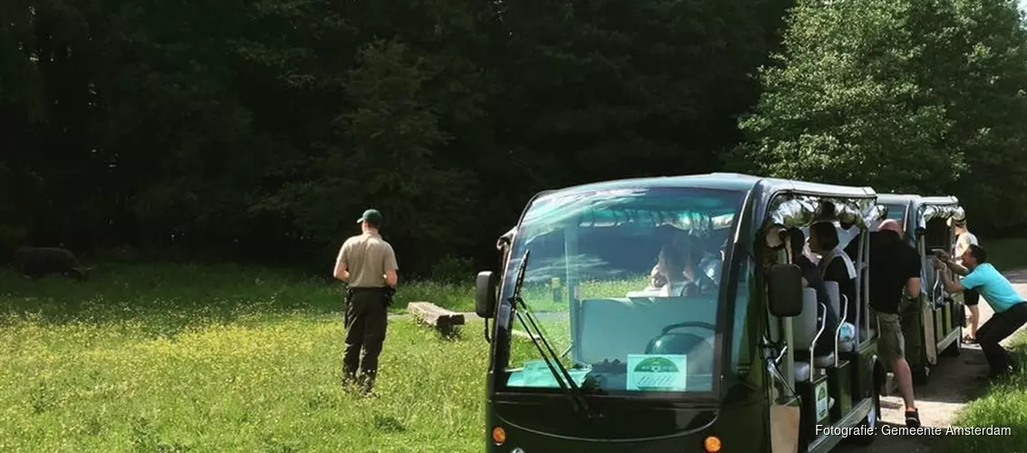 Bosbus verdwijnt