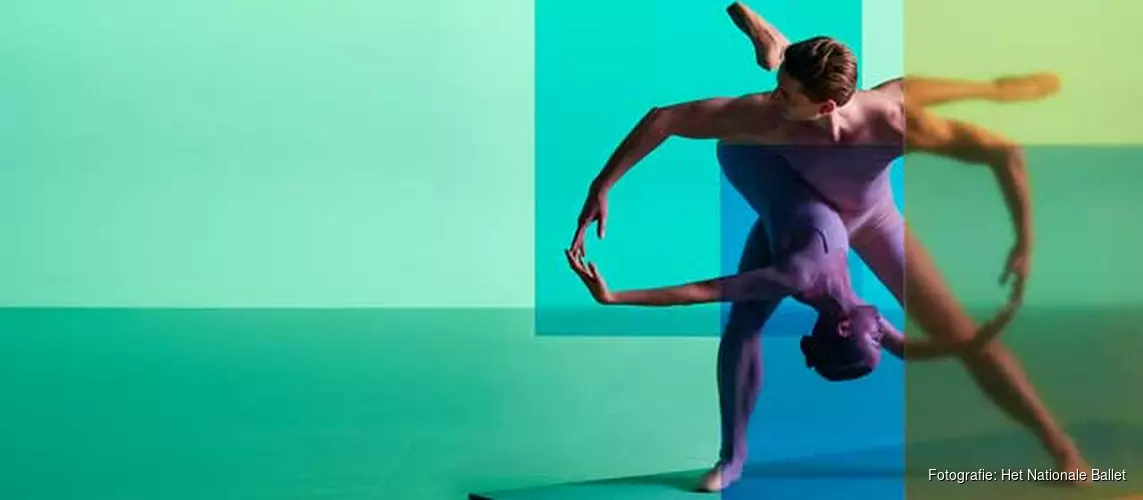 Het Nationale Ballet presenteert: New Moves 2018