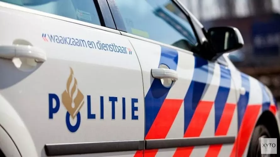 Verdachte springt uit auto bij achtervolging, politiewagen crasht tegen boom