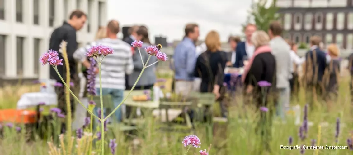 Hamerkwartier wordt gemengde wijk voor wonen en werken