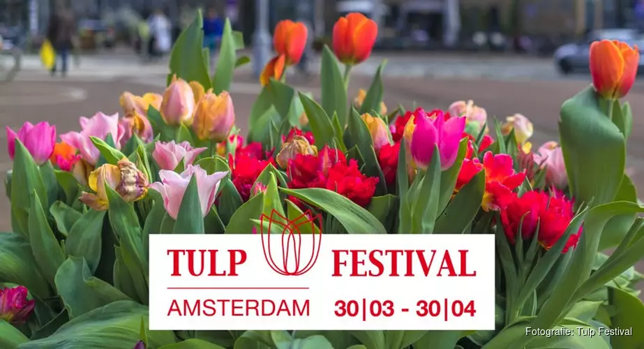Tulp Festival zet Amsterdam in bloei