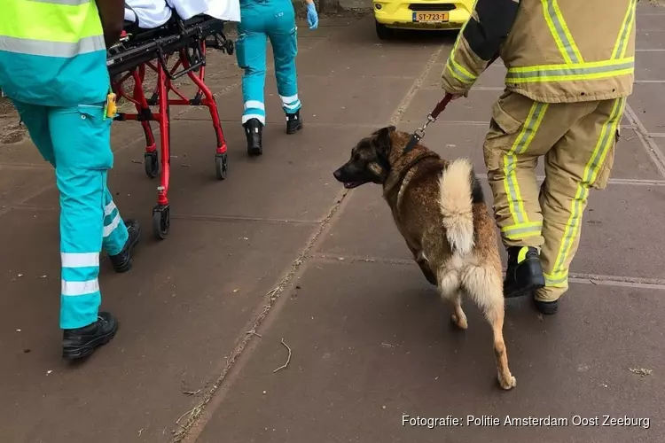 Baasje springt in water om hond te redden, brandweer rukt uit voor beide slachtoffers