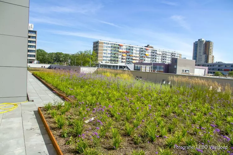 LEBO Vastgoed zorgt voor het eerste groene dak in hart van Centrum Nieuw-West