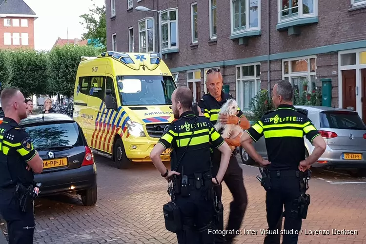 Amsterdamse brandweer haalt vrouw en zeven huisdieren uit woning vol rook