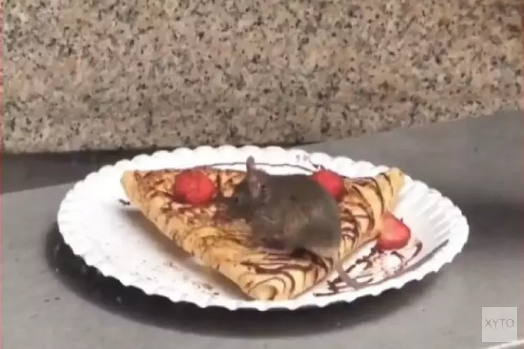 Snoepende muis op pannenkoek betekent sluiting &#39;Nutella-winkel&#39; Amsterdam