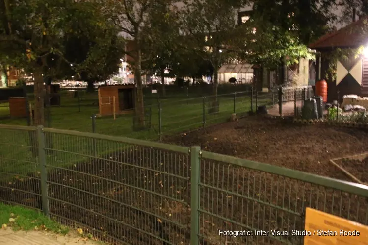 Jongeren bekogelen dieren kinderboerderij met zwaar vuurwerk