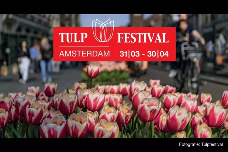 Tulp Festival zet Amsterdam in bloei van 31 maart t/m 30 april 2020