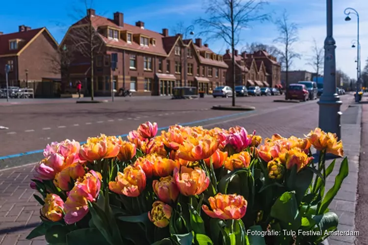 Tulp Festival brengt saluut aan Amsterdammers in buurten en wijken