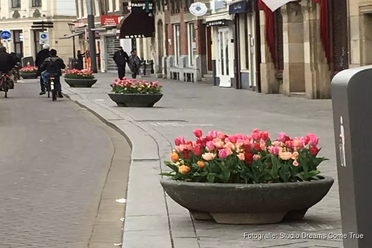 Bloemenpracht in centrum Amsterdam