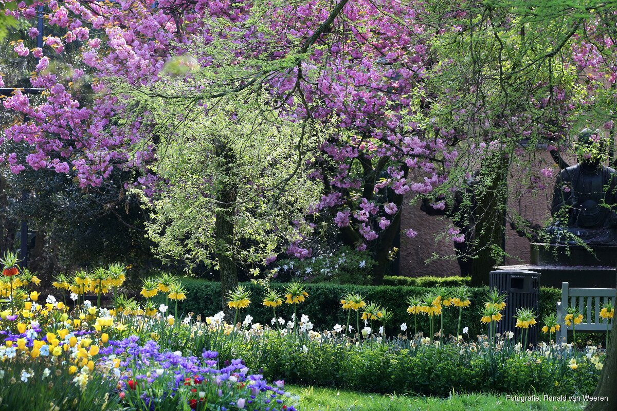 ARTIS officieel botanische tuin Amsterdamsdagblad.nl