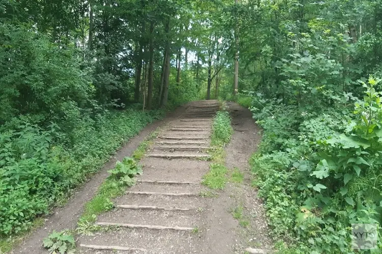 Politie zoekt getuigen in Amsterdamse Bos