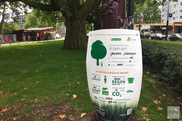 Actie #TreeTag maakt het belang van bomen voor mens en omgeving zichtbaar