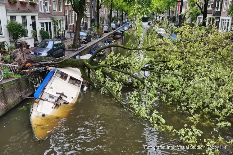 Boom valt op boot in gracht Amsterdam