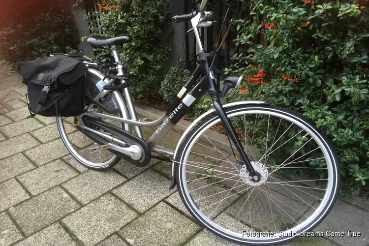 Amsterdamse grijpt fietsendief in kraag!