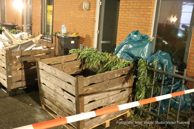 Grote wietplantage opgerold in Zuidoost