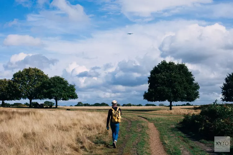 Dit zijn de beste wandelroutes door Amsterdam