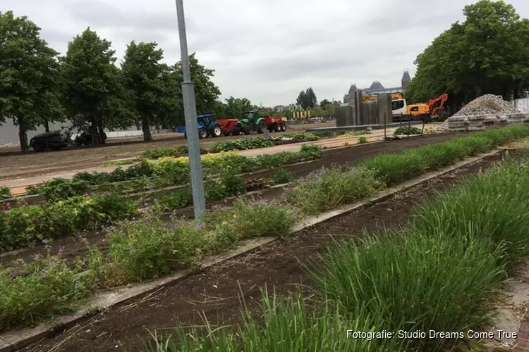 Museumplein begint al op te ‘bloeien’…