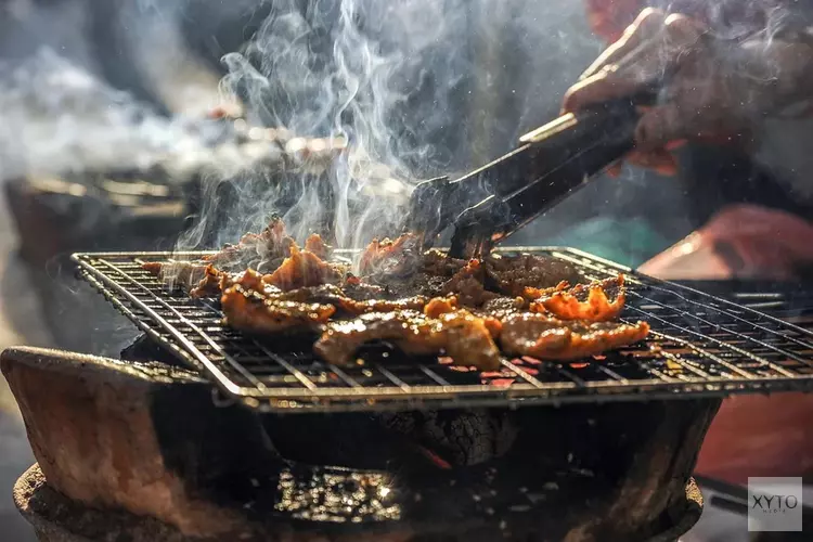 Amsterdamse Bos best beoordeelde park om te barbecueën