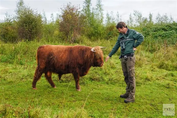 “De natuur van het Amsterdamse Bos kan best tegen een beetje lawaai”