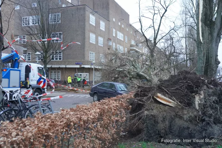 Boom valt op fietser op Vrijheidslaan, fietser overlijdt