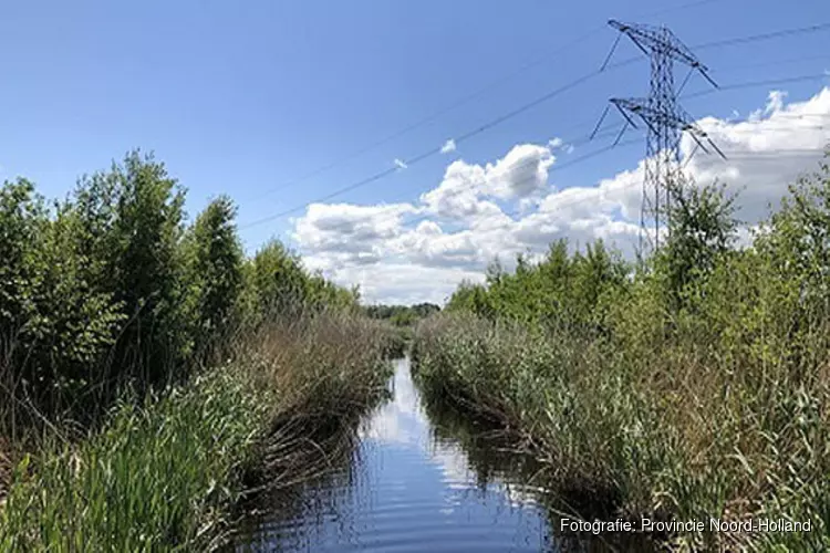 Werkzaamheden van start natuurontwikkeling Diemerbos en Gemeenschapspolder