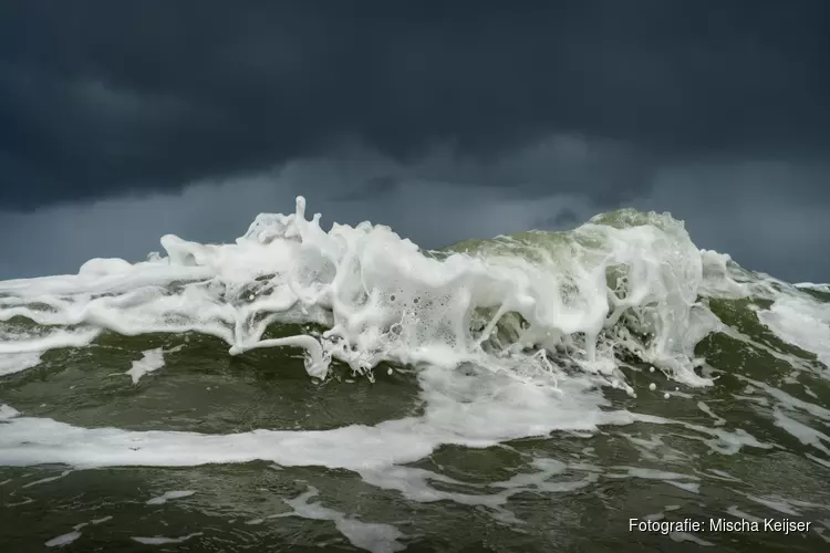 Mens op Zee zet fotocollectie Het Scheepvaartmuseum in nieuw daglicht