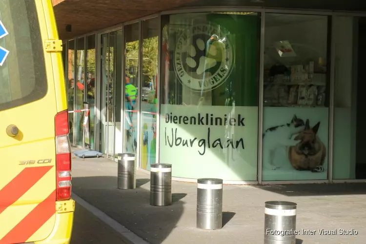 Dieren dood aangetroffen in kliniek op IJburg