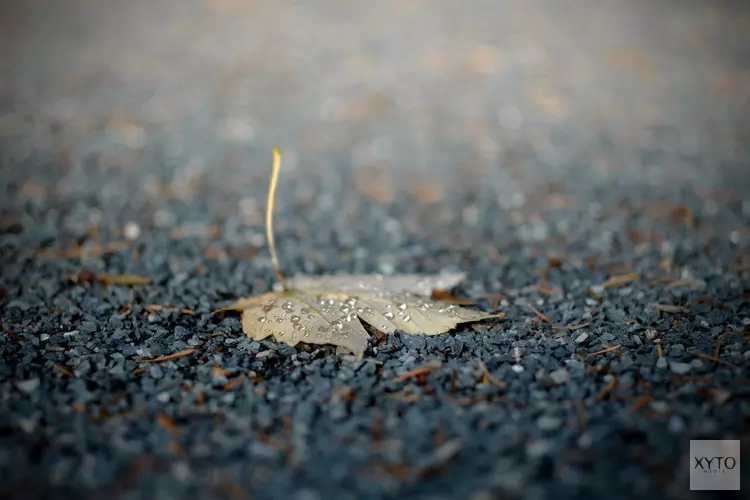 Einde aan mooie herfstdagen. Wintertijd en november zorgen voor omslag