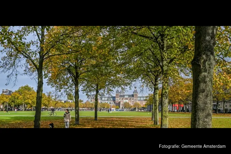 Amsterdam verplaatst demonstratie SVN naar Museumplein