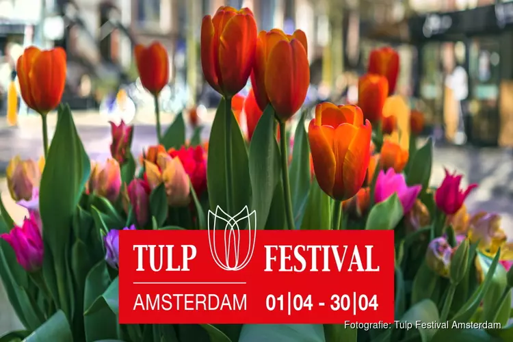 Tulp Festival zet in april de hoofdstad in bloei