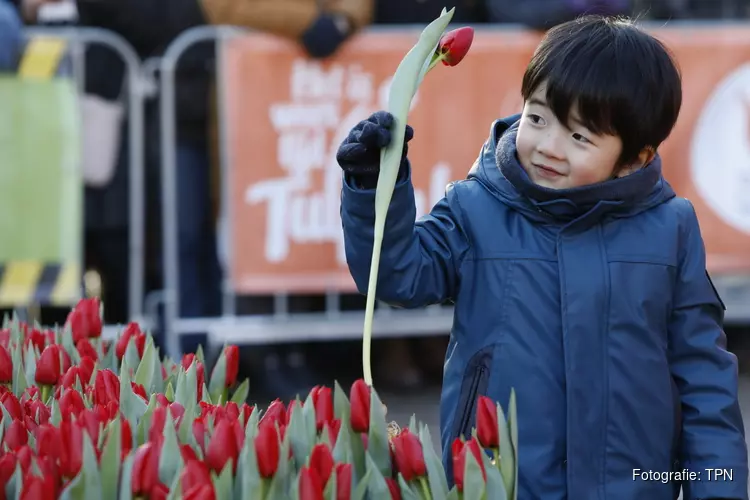 Vrolijk tulpenfeest in Amsterdam