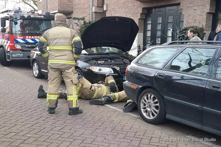 Kat bevrijd uit motor van auto