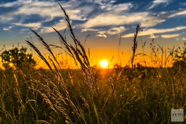 Temperatuur doet stap terug na tropische zondag. Eind van de week verhoogde buienkans