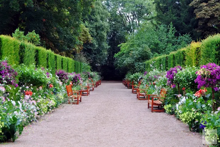 Tips voor iedereen die op zoek is naar een natuurlijke tuinafscheiding