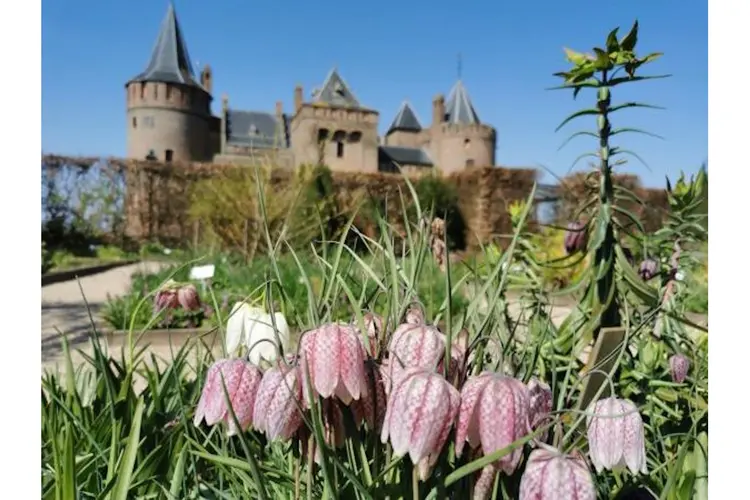 Hemelvaart en Pinksteren bij het Muiderslot