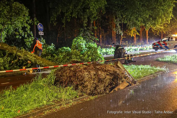 Boom valt op scooterrijder in Nieuw-West