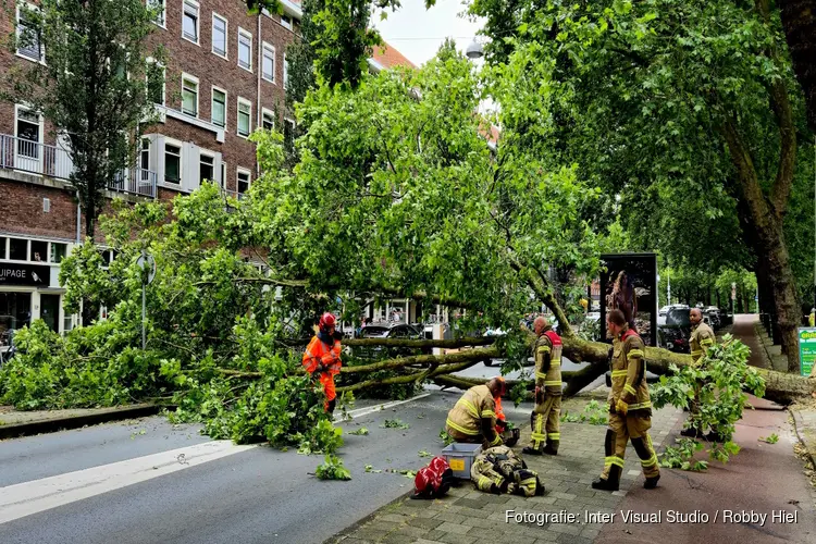 Boom uit het niets omgevallen op Jan van Galenstraat