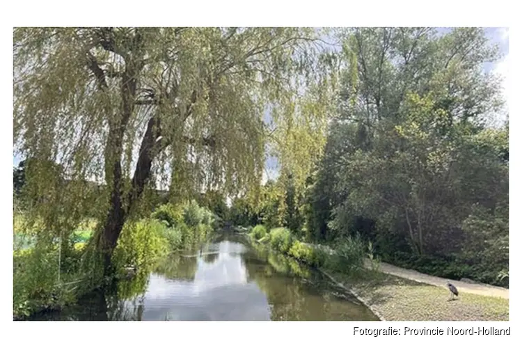 Natuurvriendelijke oevers in het nieuwe Spoorpark Zuid in Amsterdam