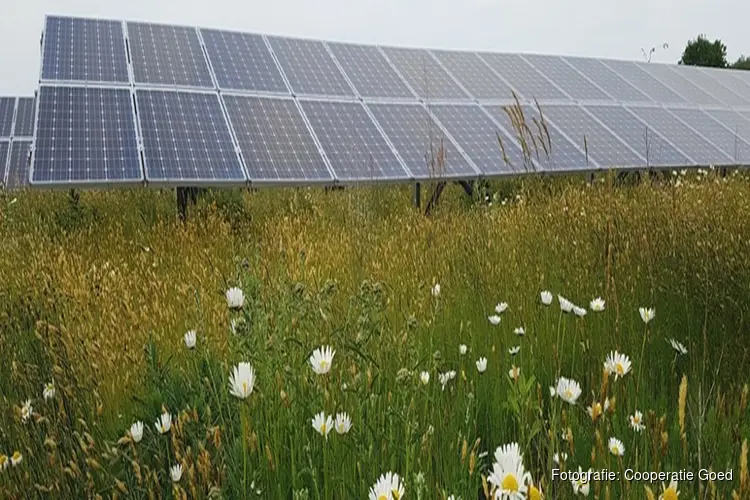 Amsterdams GOED opgericht: de energiecoöperatie voor Strandeiland