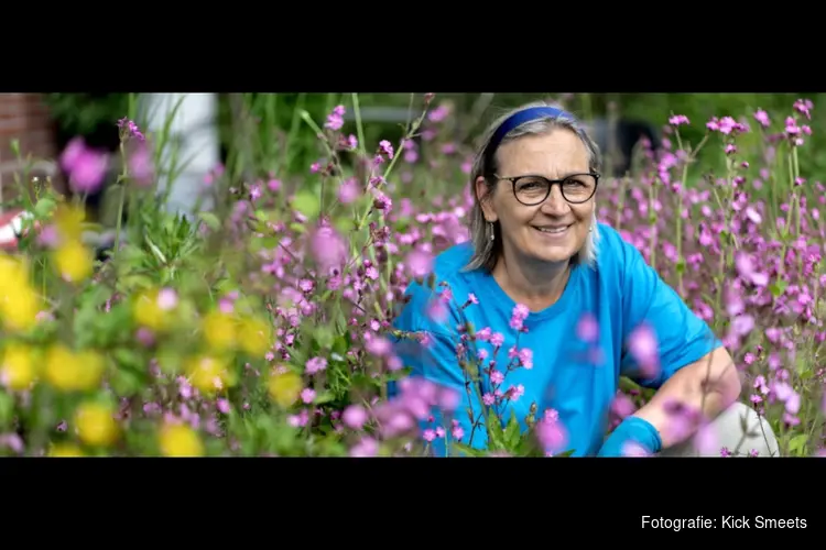 'Onderdruk de neiging om insecten dood te maken'