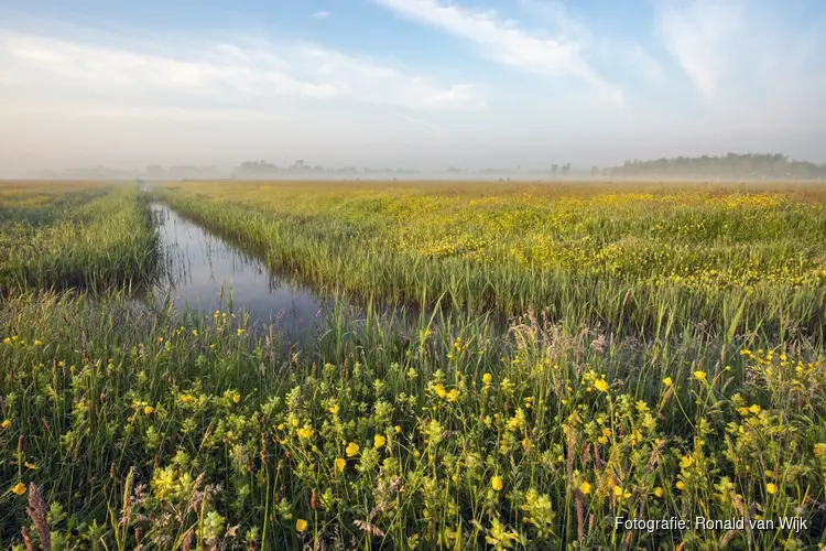 Noord-Hollandse Natuurdag: inspirerende sprekers delen ontdekkingen uit de natuur op 23 november, kom je ook?