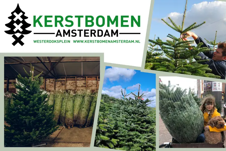 Zorgeloos Een Kerstboom Kopen én Ophalen met Kerstbomen Amsterdam