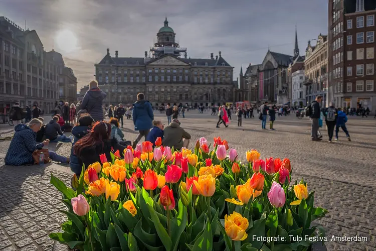 Tulp Festival brengt ode aan Amsterdam 750