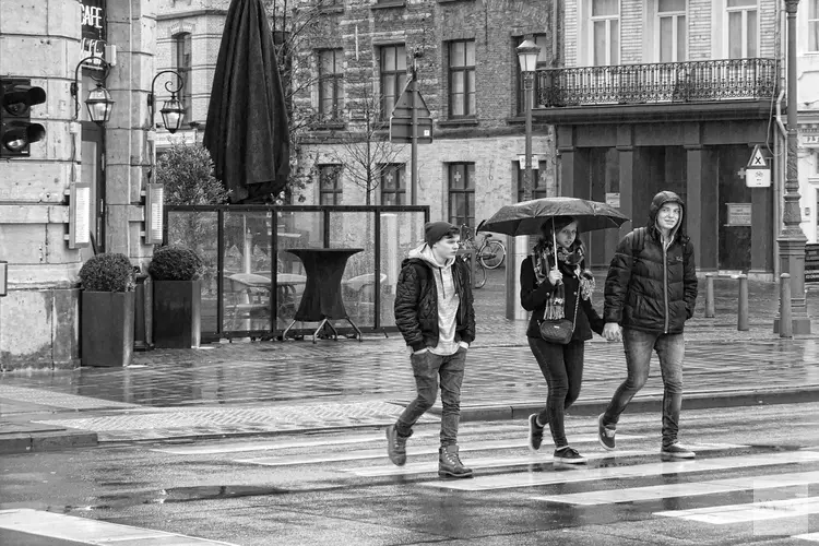 Rondwandeling met gids langs bruggen en kademuren