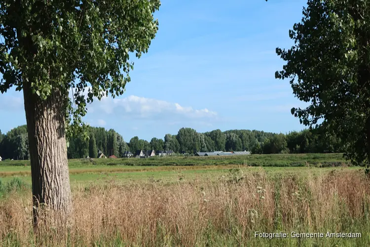 Ondernemers met groene vingers gezocht voor stadslandbouw