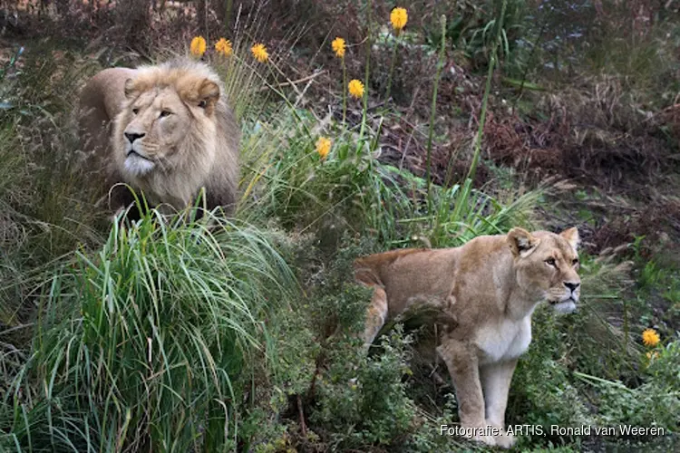 ARTIS: Natuur en dieren in het hart van Amsterdam