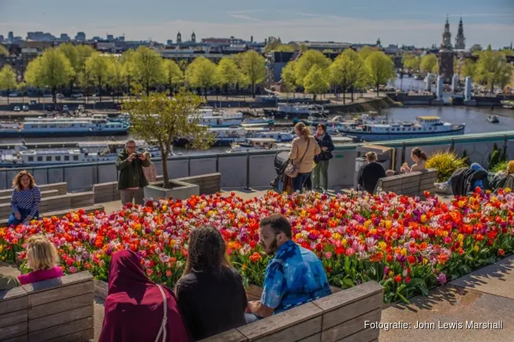 Tulp Festival opent met doop NEMO tulp